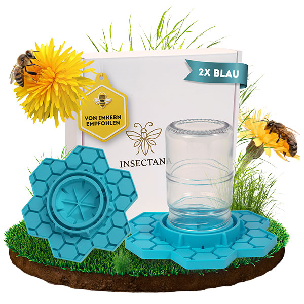 insectana_bienentraenke_blau_bienen_blume