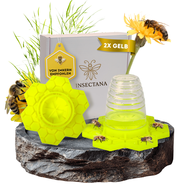 insectana_bienentraenke_gelb_bienen_blume